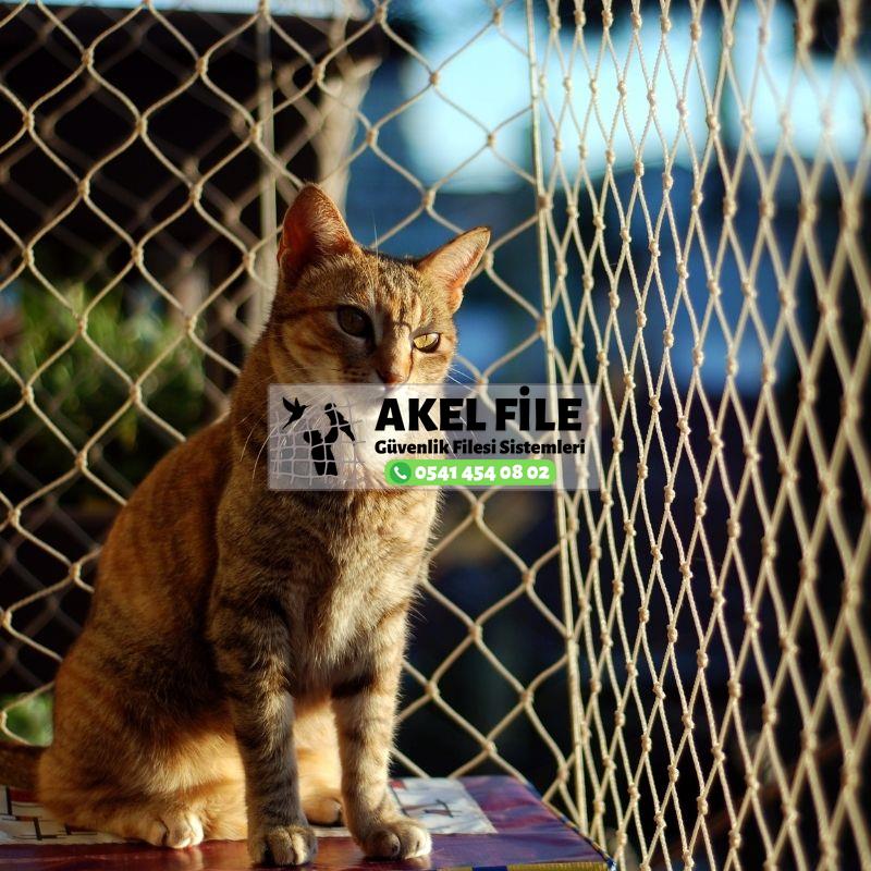 İstanbul Kedi Koruma Filesi 0541 454 08 02 İstanbul Kedi Koruma Filesi 0541 454 08 02