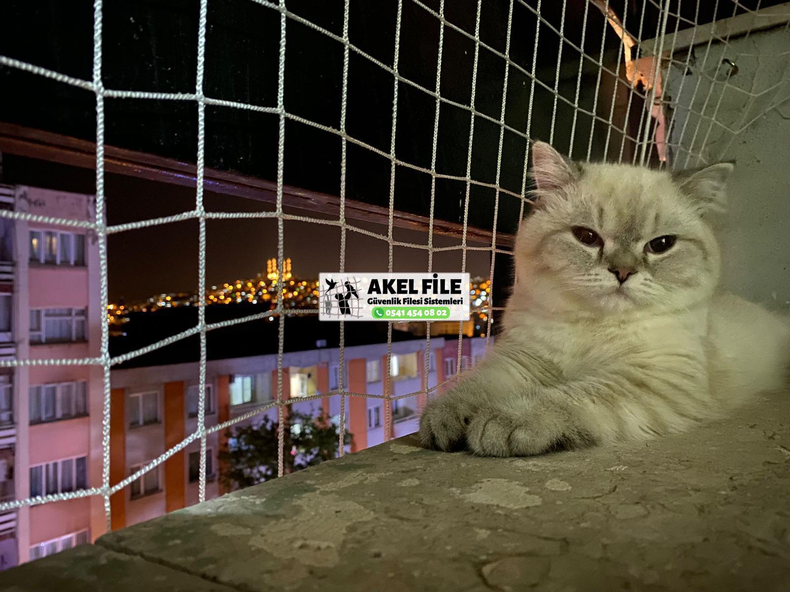 Evcil Hayvan Filesi Çocuk Filesi Kedi Filesi Balkon Filesi