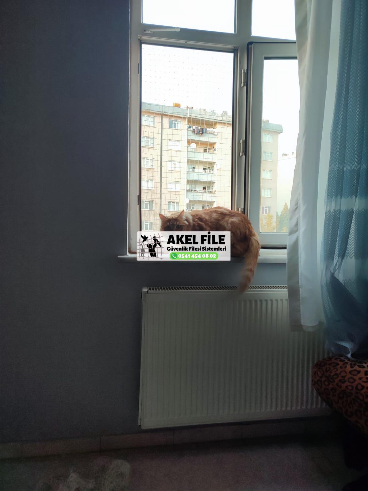 Evcil Hayvan Filesi Çocuk Filesi Kedi Filesi Balkon Filesi 0541 454 08 02 Evcil Hayvan Filesi Çocuk Filesi Kedi Filesi Balkon Filesi 0541 454 08 02